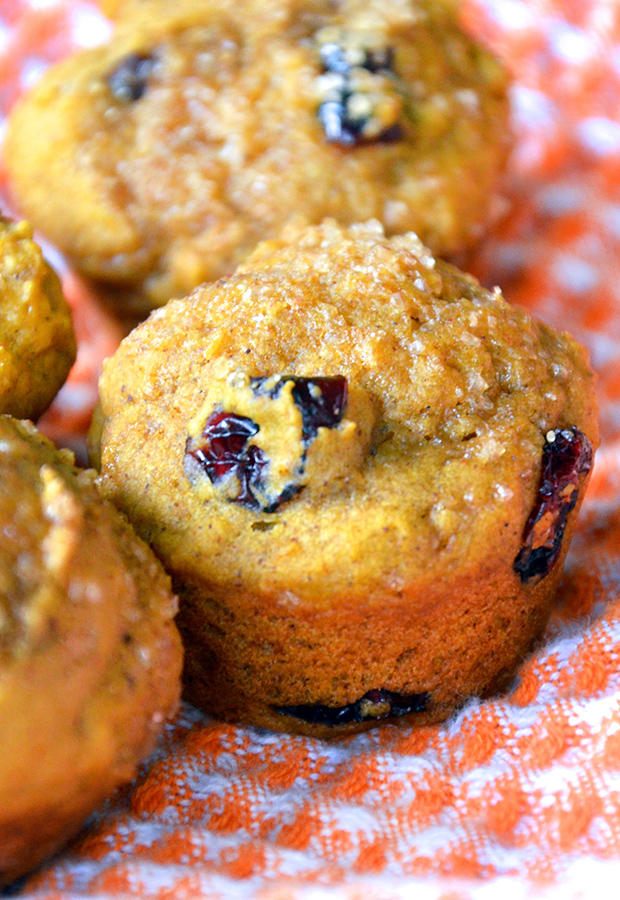 Mini Cranberry Pumpkin Muffins