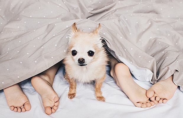 19 Ways to Trick Yourself into Becoming a Morning Person