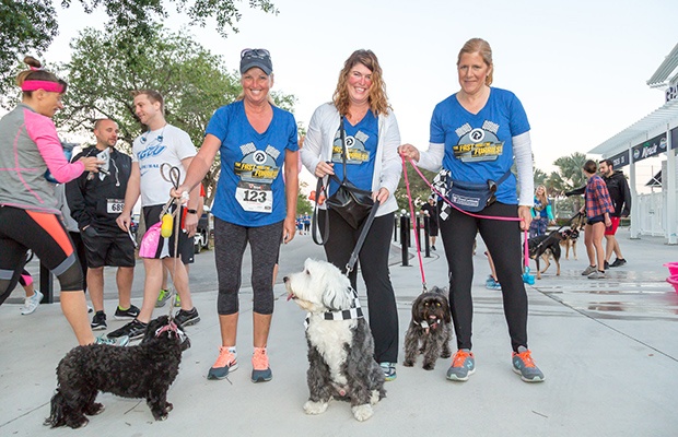 Fun Runs with Dogs: The Fast and the Furriest 5K