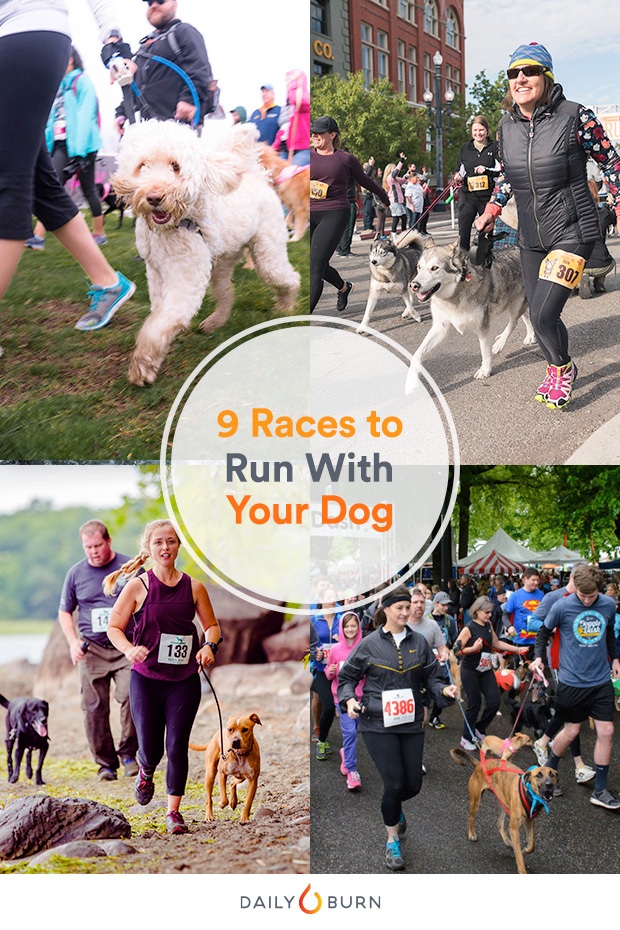 9 Fun Runs You Can Do With Your Dog 