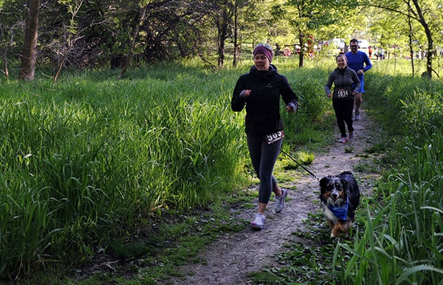 Fun Runs with Dogs: Tails and Trails 