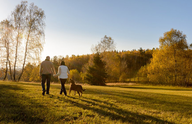 Brisk Walk